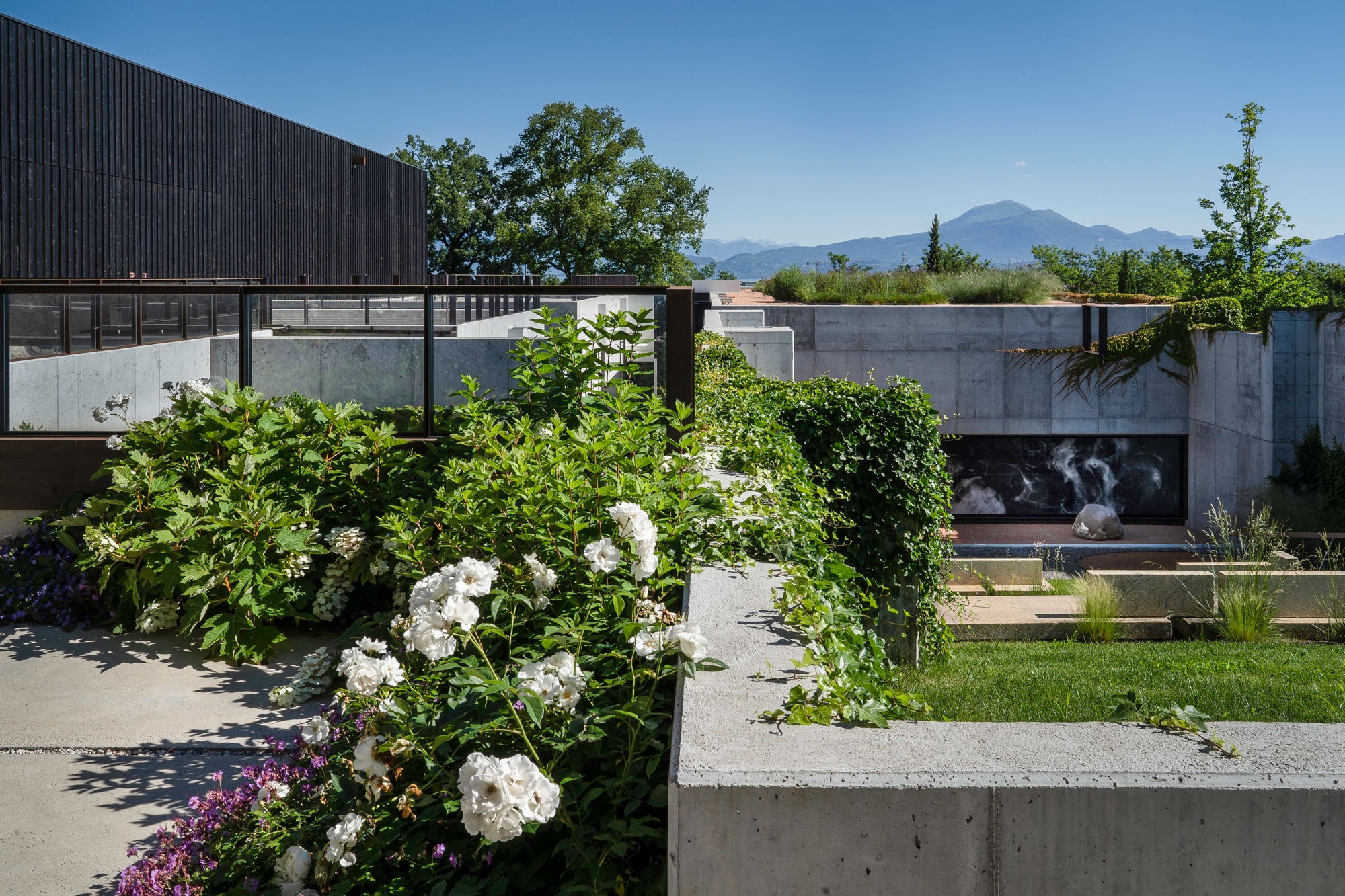 Azienda